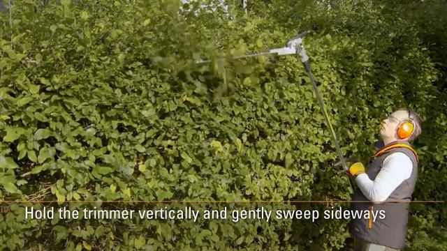 Электрический высоторез STIHL HLE 71 48130112907 50см смотреть онлайн