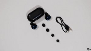 pTron Bassbuds Unboxing - True Wireless Buds under 1000 INR