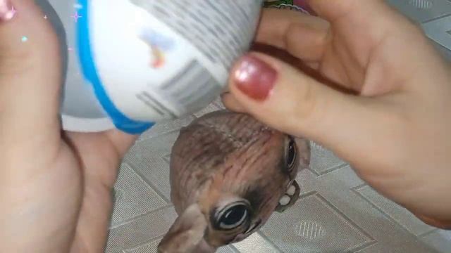 Большое пластиковое яйцо сюрприз ??#сюрприз #детям #киндеры #игрушки #шоколадные яйца смотреть онлайн