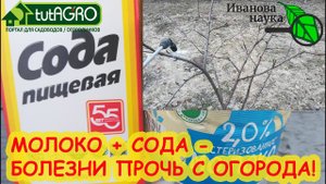 ГОРАЗДО ЛУЧШЕ БОРДОСКОЙ и 30+! ВЕСЕННЕЕ ОПРЫСКИВАНИЕ САДА: деревьев, кустарников, земляники и роз.