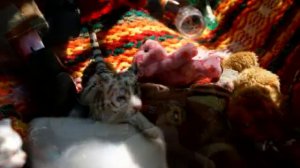 Сплин - Альтависта.mp4