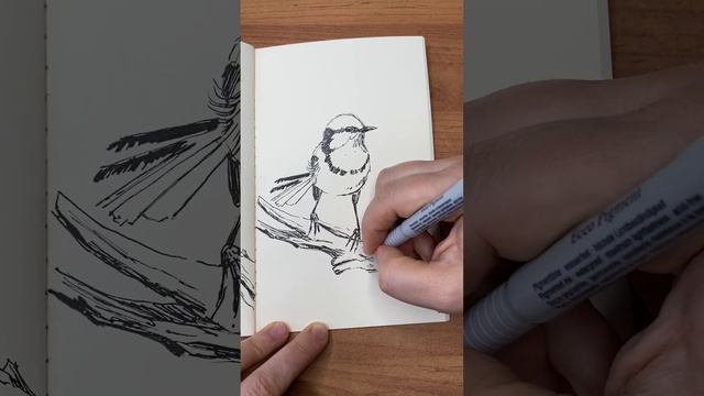 Часть 4. Быстрый рисунок птички.