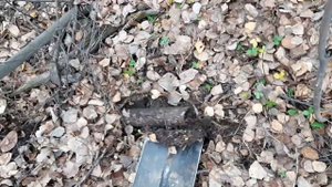 НАШЛИ ЭТО МЕСТО! БОЛЬШОЙ #МЕТАЛЛОКОП #МЕТАЛЛОПОИСК #КОП