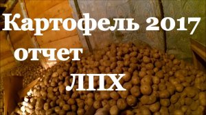 Картофель 2017 // Отчет аномального сезона