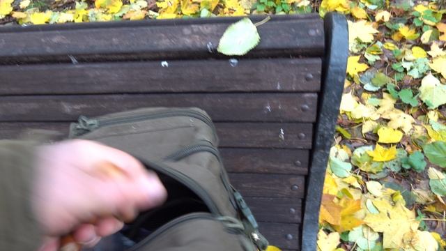 Вороны отняли у Копии орех