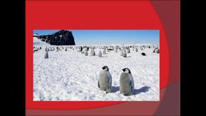 Среда обитания. Биология 6 класс.