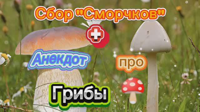 Сбор Весенних грибов ➕ Анекдот про Грибы🍄🍄🍄 🤣🤣🤣