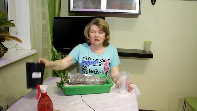 218_Купила в марте клубнику с открытыми корнями. Что делать? смотреть онлайн