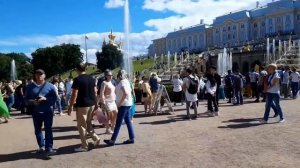 Как самостоятельно посетить фонтаны в Петергофе и сколько нужно для этого денег.