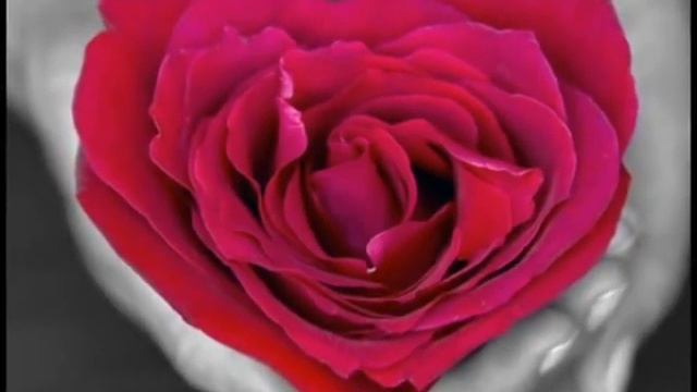 perfect world - войди в меня смотреть онлайн