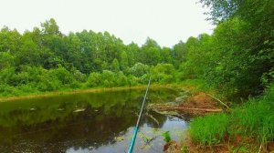 ✔️ Рыбалка в Нижегородской области на живца и спиннинг река Керженец