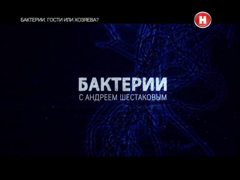 Канал наука. Бактерии. Гости или хозяева?. Микроб Андрей.