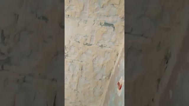 Подготовка под штукатурку . Демонтаж шпаклёвки , штукатурки смотреть онлайн