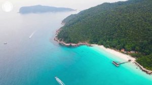 Джо Диспенза, новая реальность