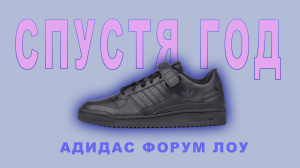 Адидас Форум Лоу спустя год // Adidas Forum Low