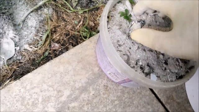 Уход за ПОМИДОРАМИ в теплице в июле смотреть онлайн