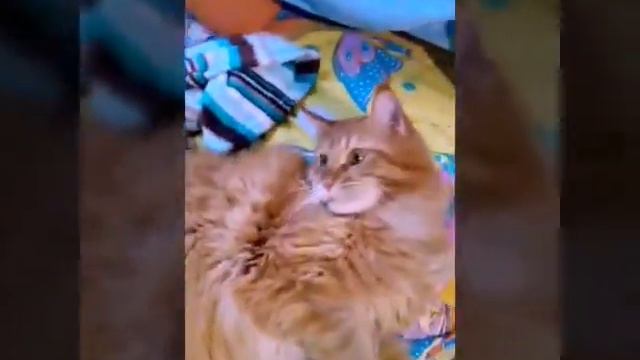 Как Джига играет!? смотреть онлайн