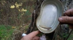 В России нельзя мыть золото.