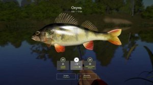 Русская рыбалка 4: #10 Неплохой улов. Река Вьюнок