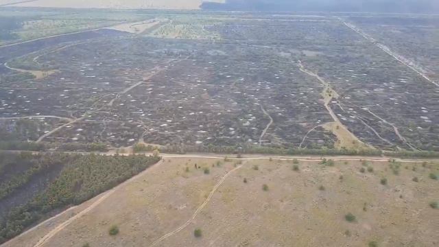 Волгоградскую область объяли крупные ландшафтные пожары смотреть онлайн