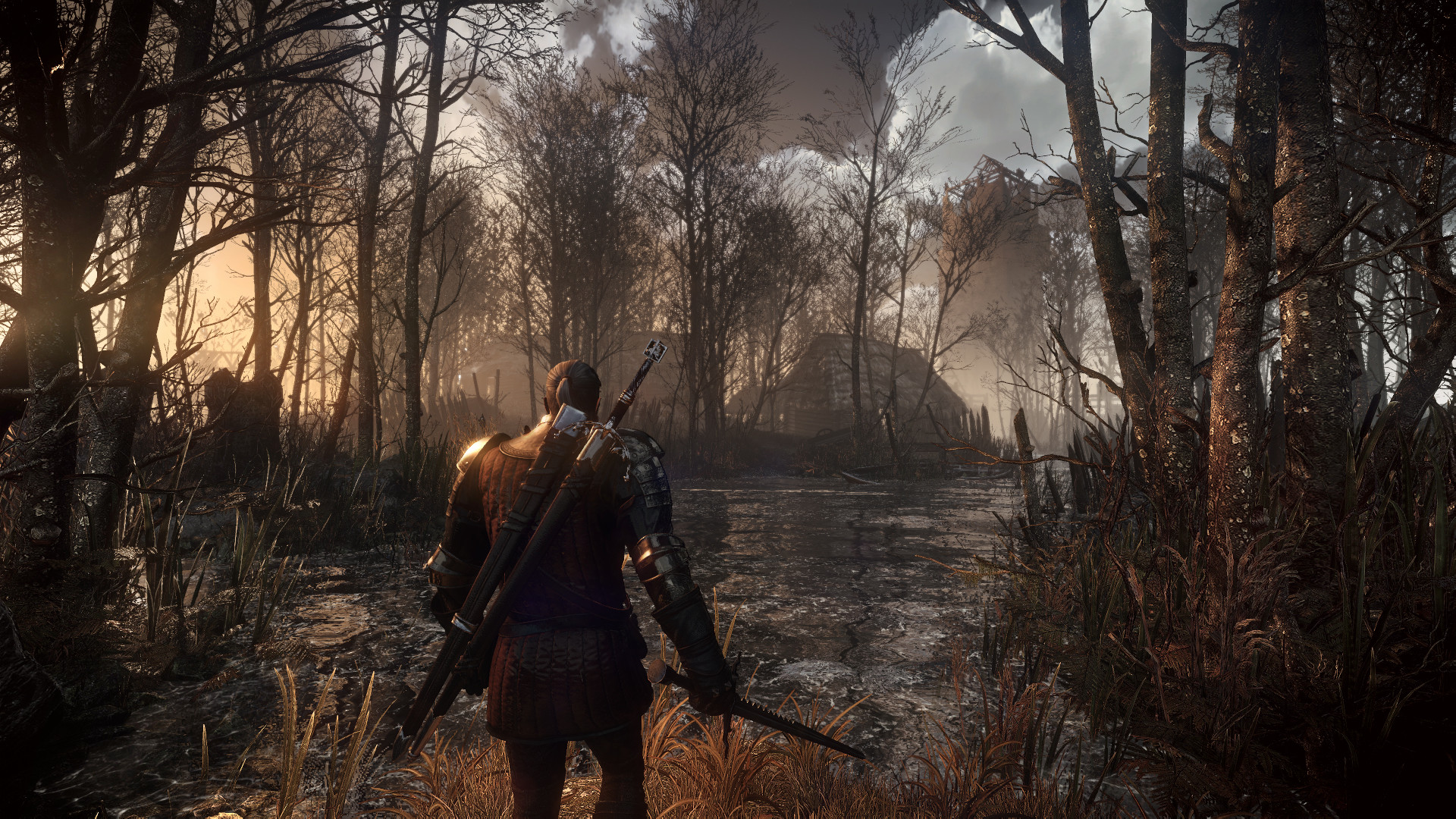 The witcher game 3 фото 24