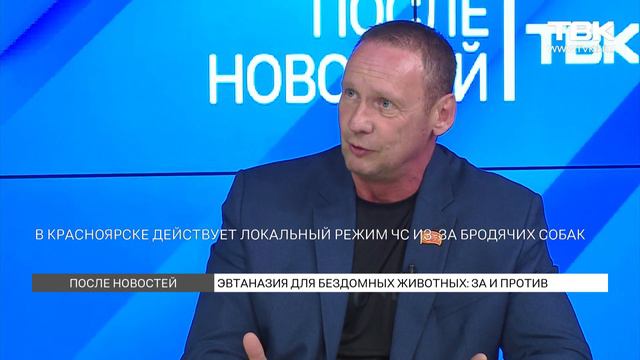 В. Дюков и Т. Калужская об эвтаназии для бездомных животных в Красноярске смотреть онлайн