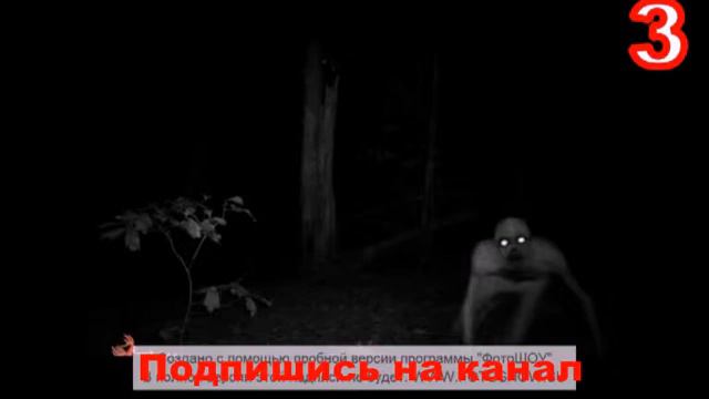 || AdeKvAt ||  Топ 5 страшных существ снятые в реальной жизни. смотреть онлайн