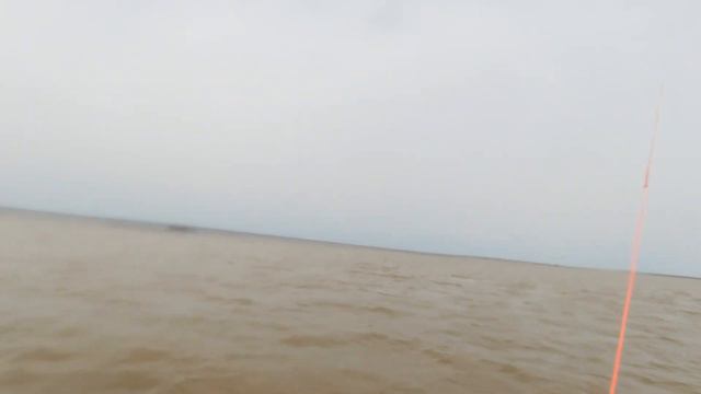 Мустанги Маныча на грани гибели!!! смотреть онлайн