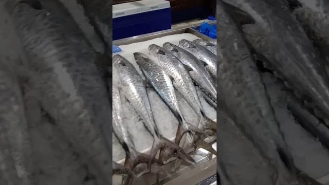 #shorts DUBAI 2021.Fish Market.Рыбный рынок. Море морепродуктов.