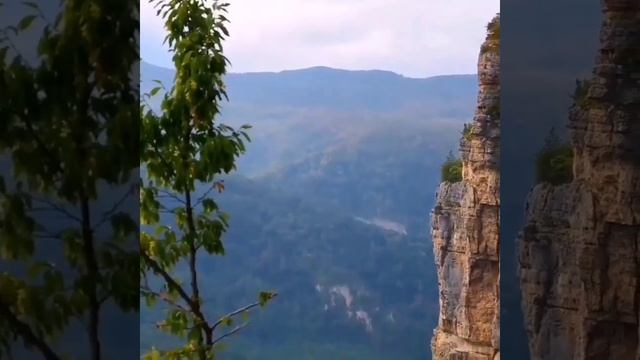 Византийская музыка