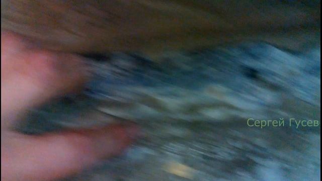 А когда ВЫ чистили свою канализацию смотреть онлайн