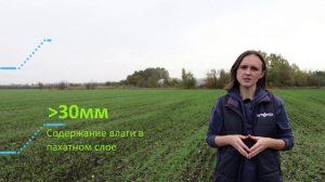 Всходы. Агрономия в цифрах. Выпуск 1