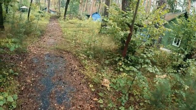 1часть макс Ващенко новое видео 14.08.2024