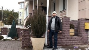 Хвойные в кадках. Какие выбрать?