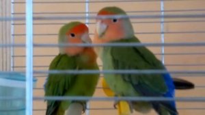 Пансионат "Белое солнце"