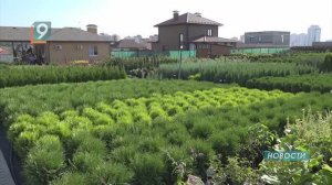 Семейный питомник “Зеленый сад" уже 20 лет помогает старооскольцам выращивать сады мечты