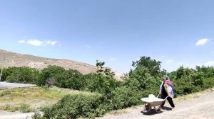 Варенье из лепестков роз Азербайджанская Кухня Деревенская Кухня  Рецепты