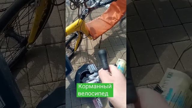 Самый маленький велосипед в мире!!! #краснодар #shorts #рекордгиннеса #славиклайф #slaviklife смотреть онлайн