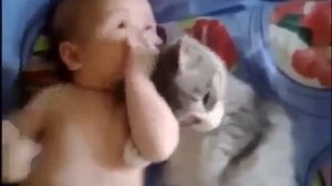 Кошка ластится к забавному малышку