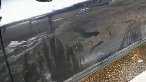 Робот мойка IntelJet. Роботизированная мойка- не моет. Эффект по чистоте Ноль. Быстро но не моет.