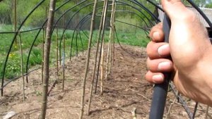 Теплица из пнд трубы 25мм)) СМЕХ