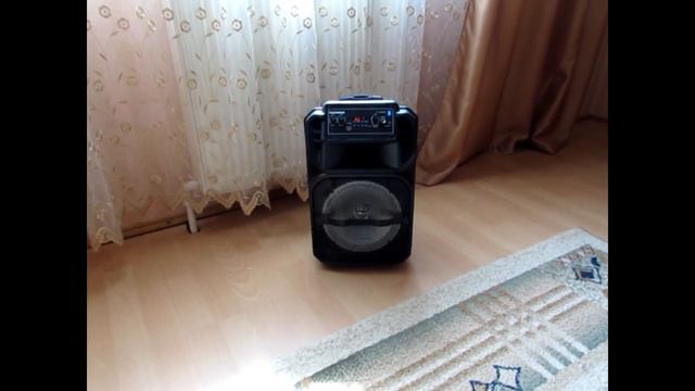 Колонка, музыкальный центр TELEFUNKEN TF-PS2302Б, мощная колонка, обзор и тест. смотреть онлайн