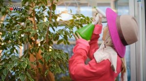 Секретная Подкормка Для Роста И Цветения Всех Цветов Весь Год!