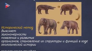 5 класс - Биология - Методы изучения биологии