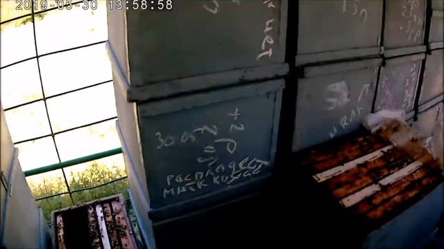 Технология безроевого содержания пчелосемей.Пчелы сработали на мёд белой акации смотреть онлайн