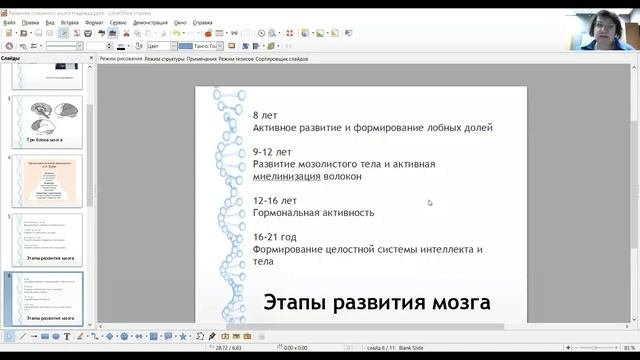 Детское развитие  День 2 Развитие мозга