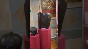 Музей Е. Д. Фелицына в Краснодаре. Обзор