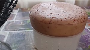 Козий Сыр Пьяная Коза // Вацап Для Заказа 8-915-245-81-59 Письменно