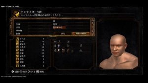 dark soul remastered (Egg ns emulator)