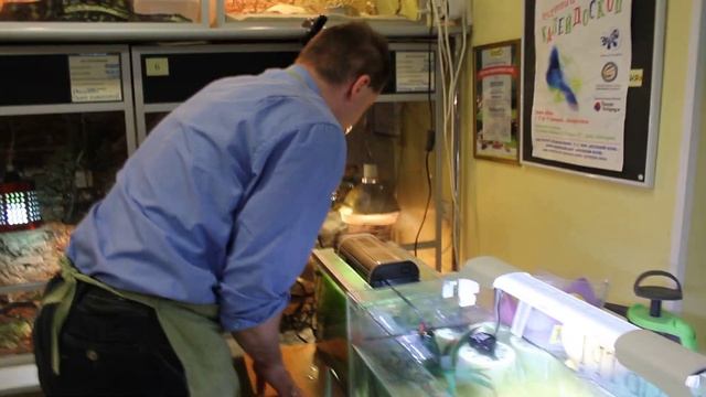 Чистка аквариума. Часть 1. Начало смотреть онлайн